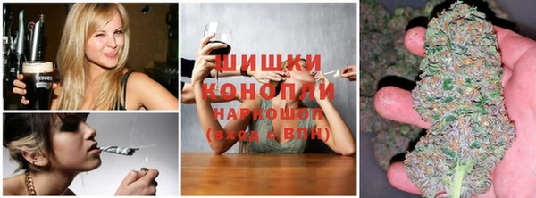 дмт Абаза