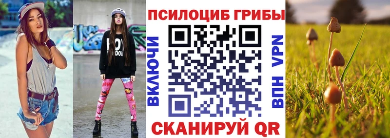 Псилоцибиновые грибы мухоморы  МЕГА маркетплейс  Кисловодск 