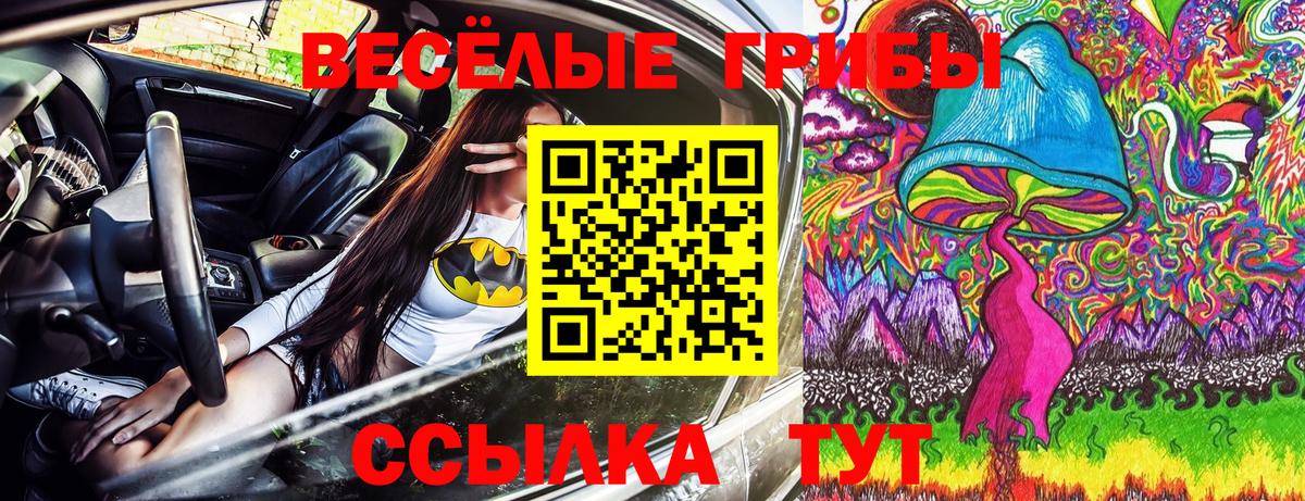 Псилоцибиновые грибы мухоморы  где можно купить наркотик  Кисловодск  Вход с VPN  Галлюциногенные грибы MAGIC MUSHROOMS 